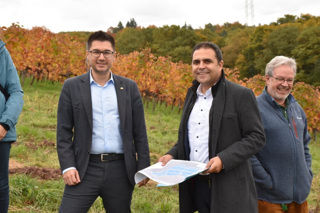 Photovoltaik am Harzberg: Aus Sicht des Naturschutzes keine grundlegenden Einwände